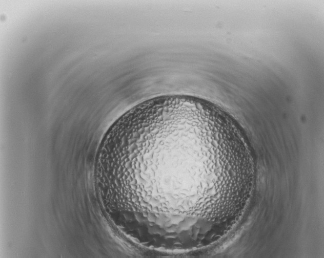 X0000060771513200511171200