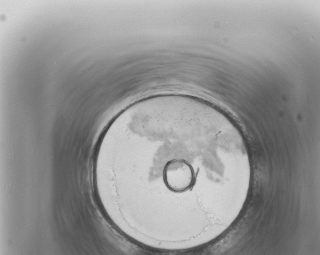 X0000060771514200511171200