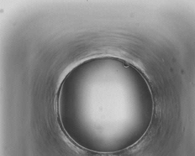 X0000060771516200511171200