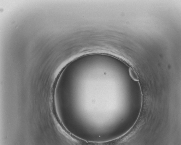 X0000060771518200511171200