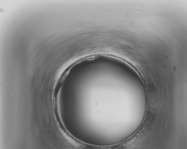 X0000060771519200511171200