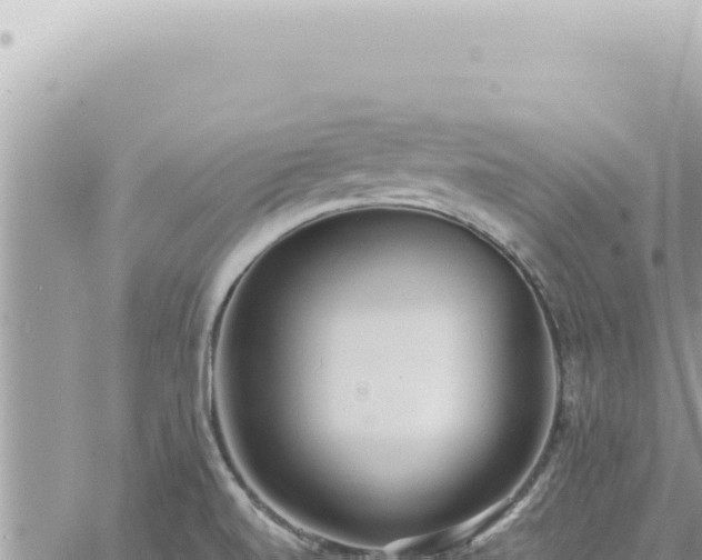 X0000060771520200511171200