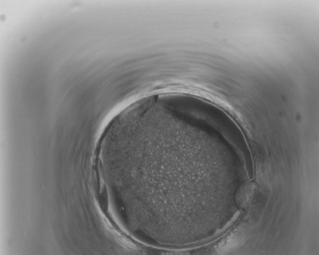 X0000060771522200511171200