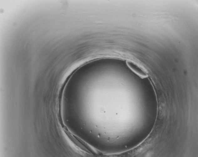 X0000060771523200511171200