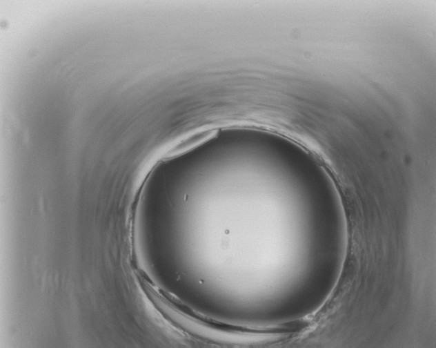 X0000060771524200511171200