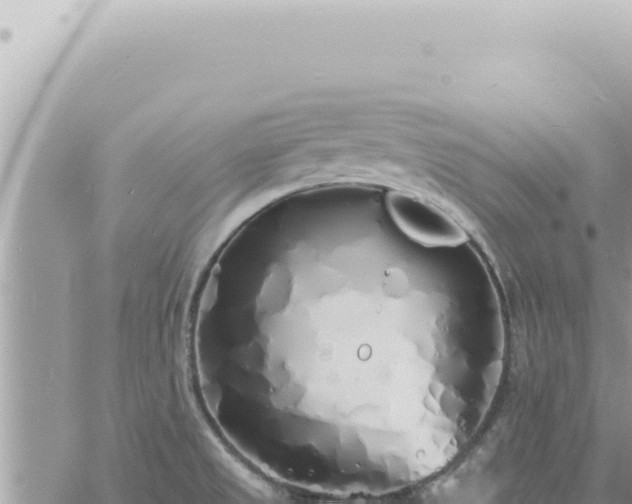 X0000060771525200511171200