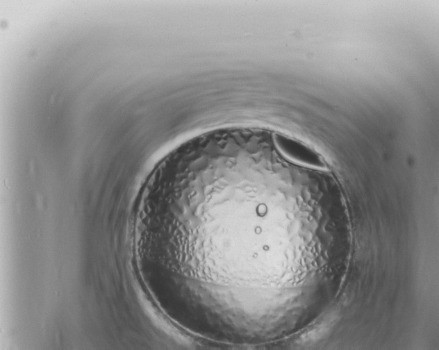 X0000060771526200511171200