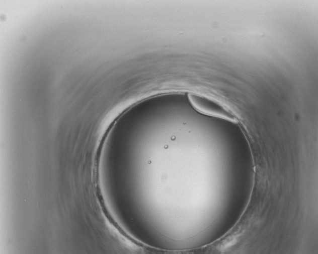 X0000060771527200511171200