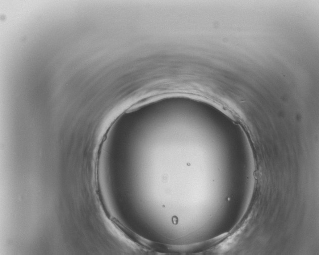 X0000060771528200511171200