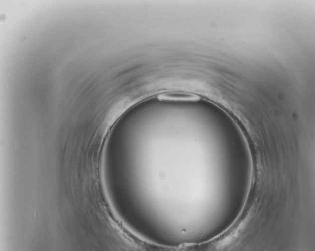 X0000060771529200511171200