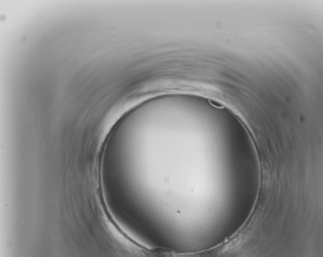 X0000060771531200511171200