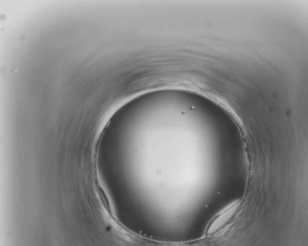 X0000060771532200511171200