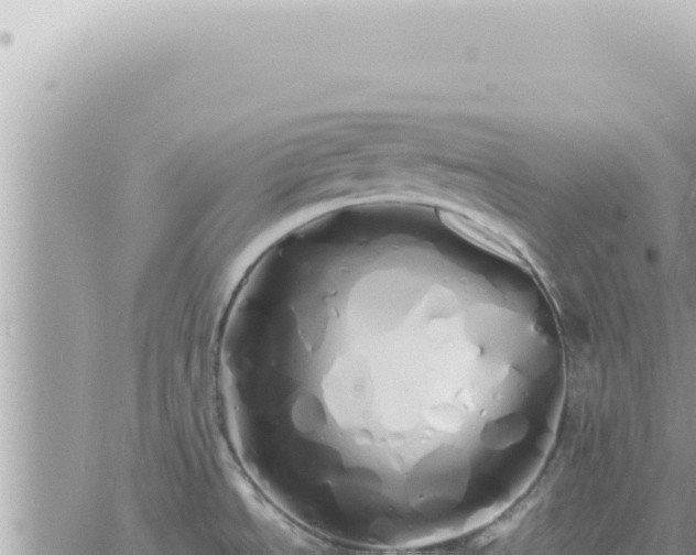 X0000060771534200511171200