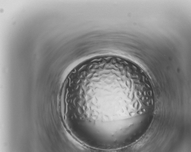 X0000060771535200511171200