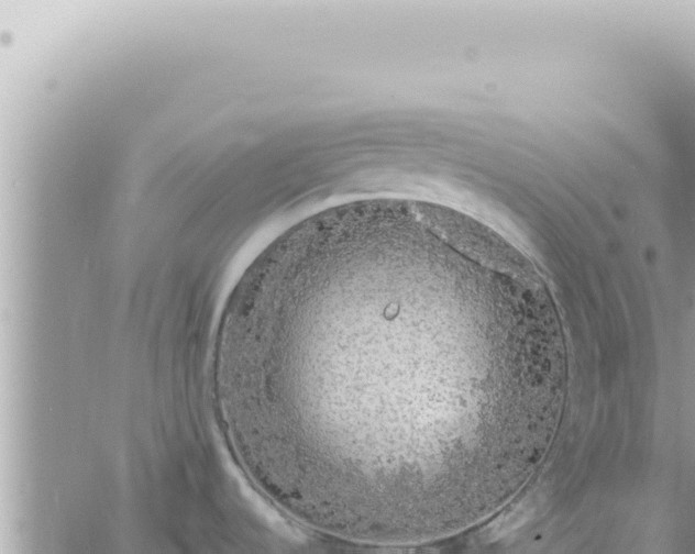 X0000060771536200511171200