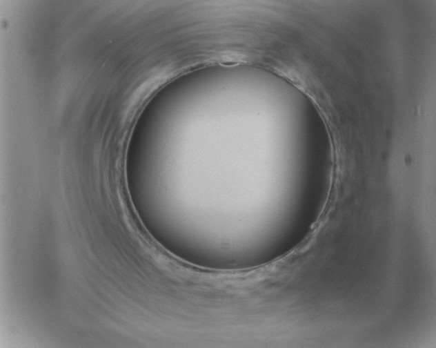 X0000060770001200511241805