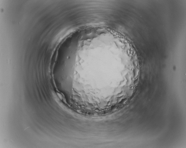 X0000060770002200511241805