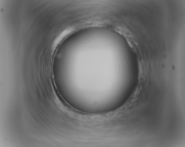 X0000060770003200511241805