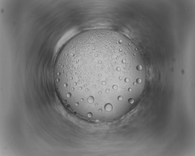 X0000060770004200511241805