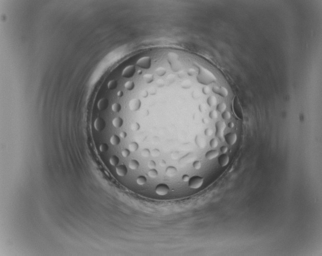 X0000060770006200511241805