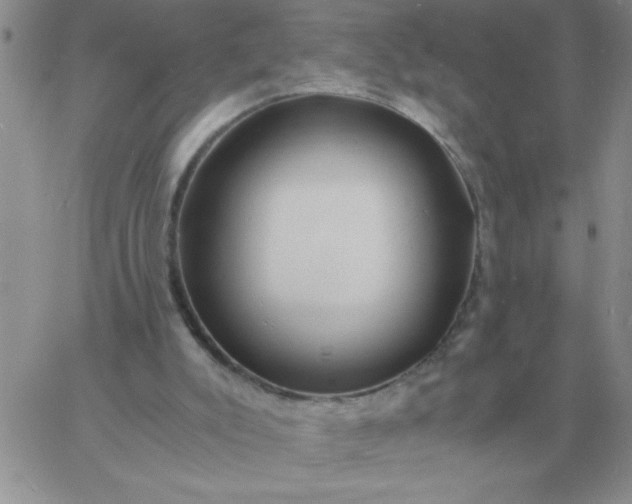 X0000060770007200511241805