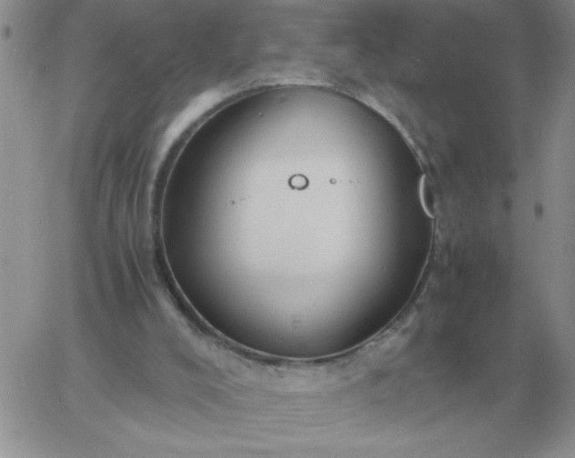 X0000060770008200511241805