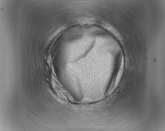 X0000060770009200511241805