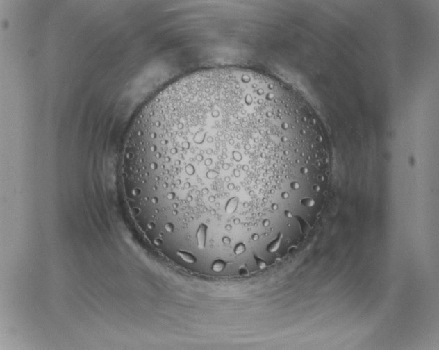 X0000060770010200511241805