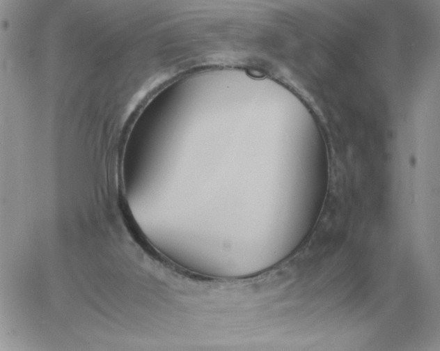 X0000060770011200511241805