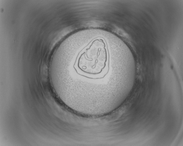 X0000060770012200511241805