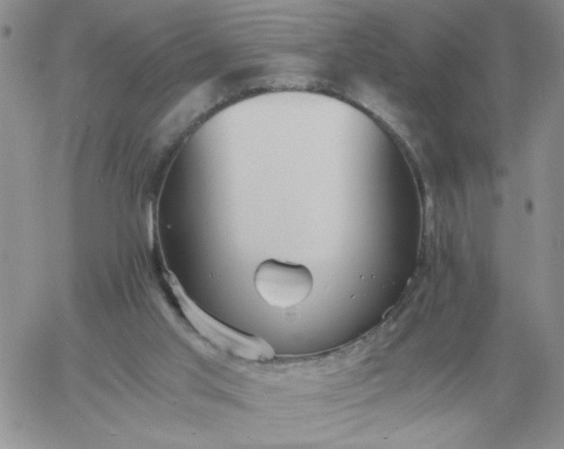 X0000060770013200511241805