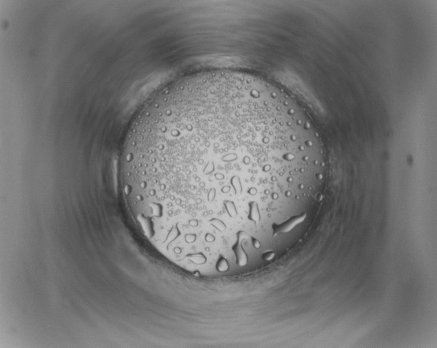 X0000060770014200511241805