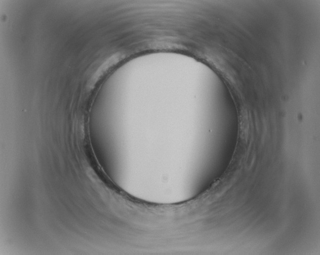 X0000060770015200511241805