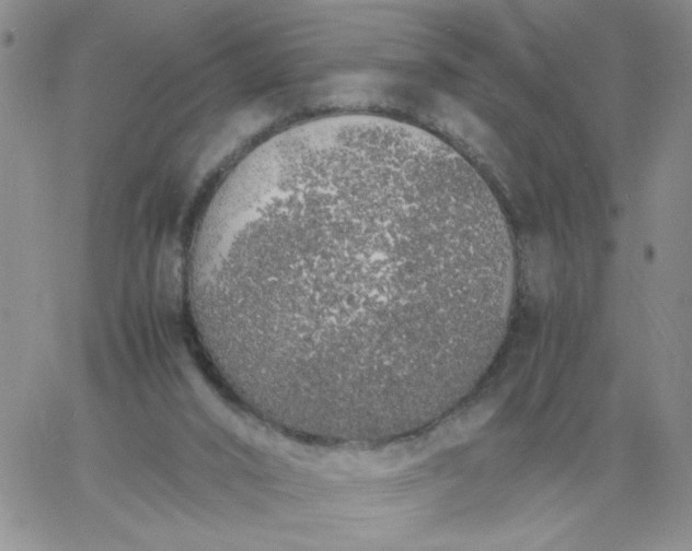 X0000060770016200511241805