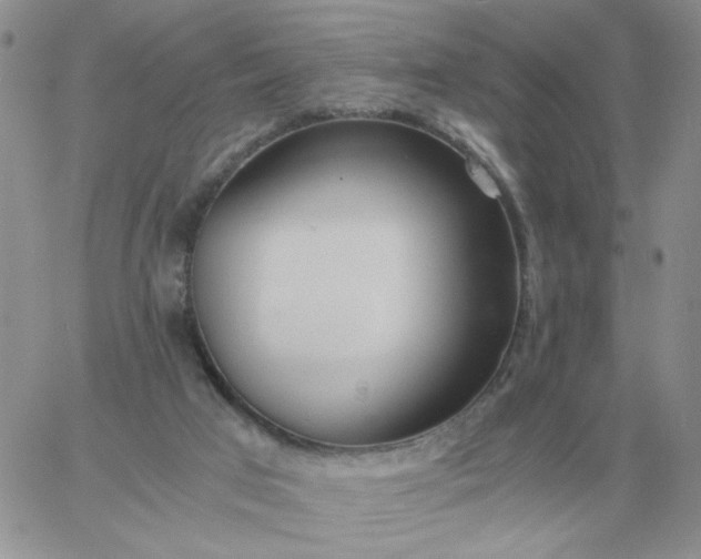 X0000060770017200511241805