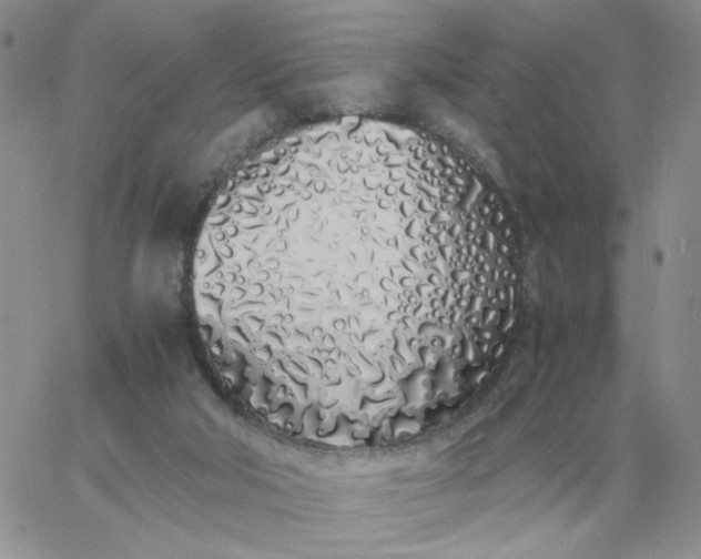 X0000060770018200511241805