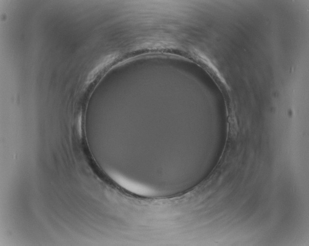 X0000060770019200511241805