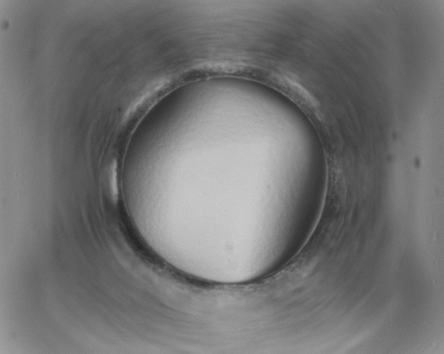 X0000060770020200511241805