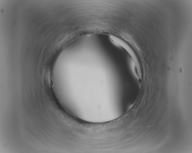 X0000060770021200511241805