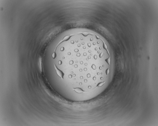 X0000060770022200511241805