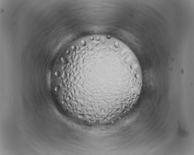 X0000060770024200511241805