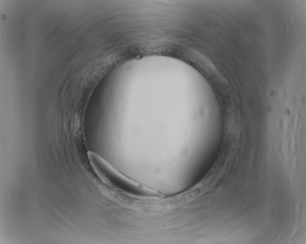 X0000060770025200511241805