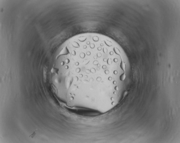 X0000060770026200511241805