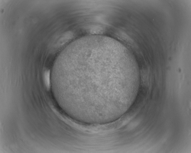 X0000060770028200511241805