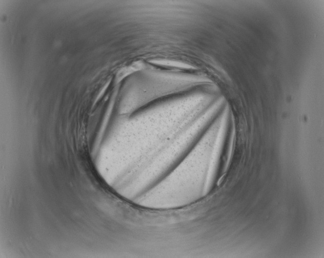 X0000060770029200511241805