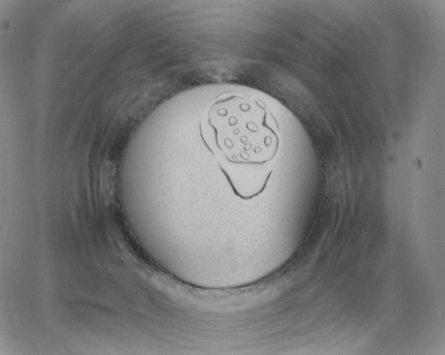 X0000060770030200511241805