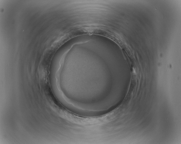 X0000060770031200511241805