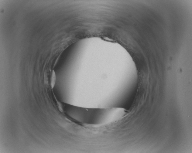 X0000060770033200511241805