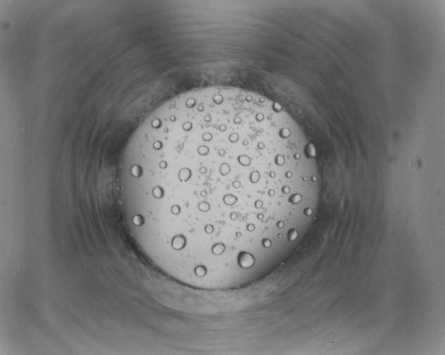 X0000060770034200511241805