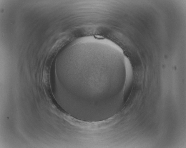 X0000060770035200511241805